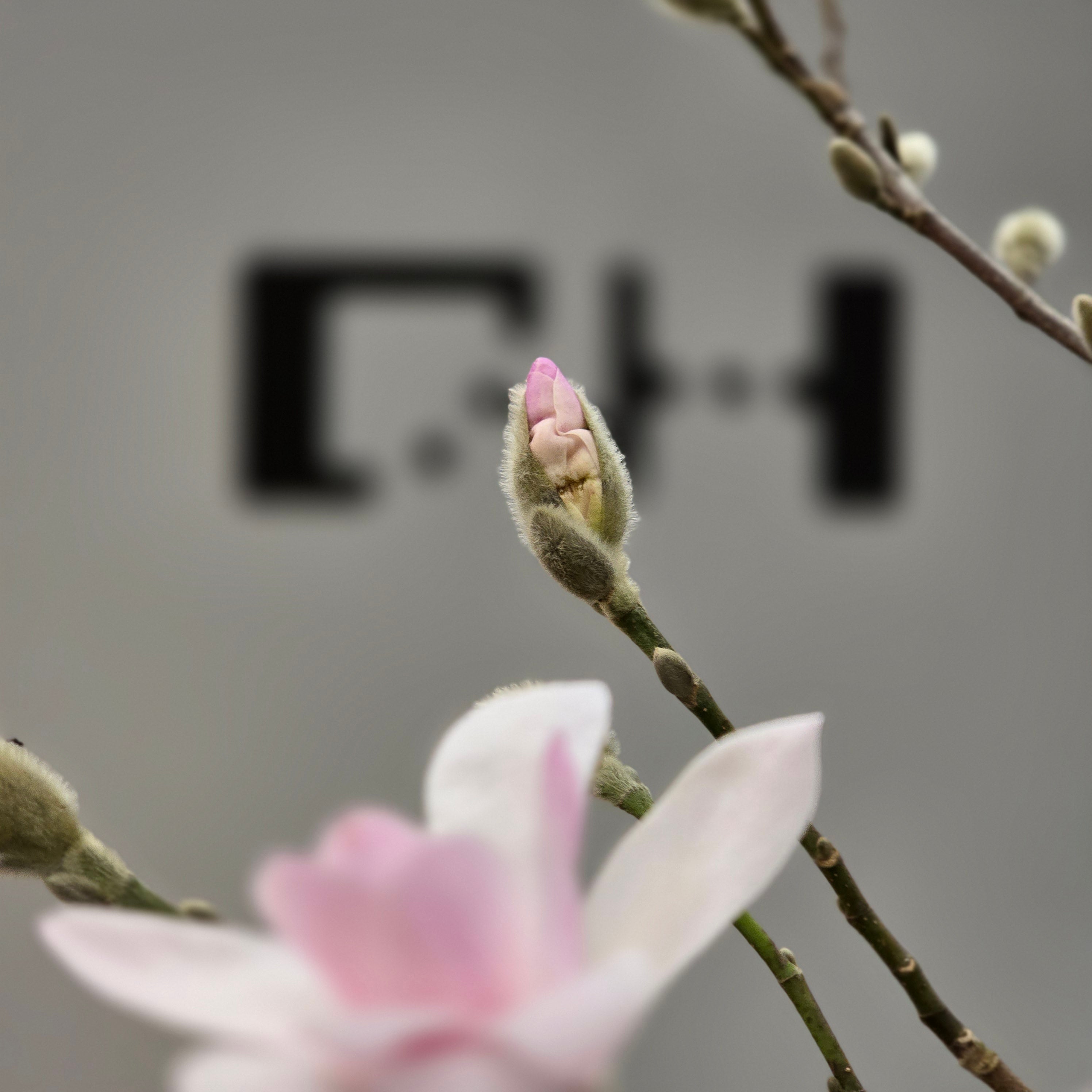 Nordiska trädgårdar 2025